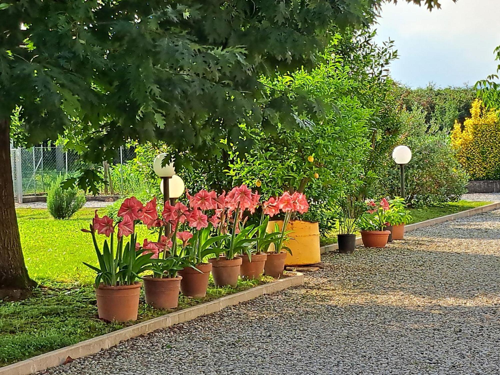 Hotel Borgo Barucchella Sant'Andra Exterior foto